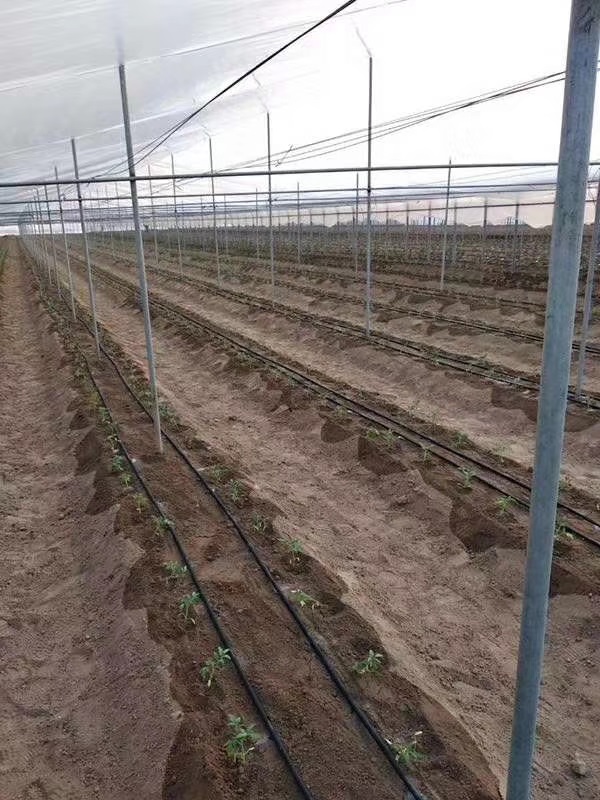 灌水器系統 灌水器系統