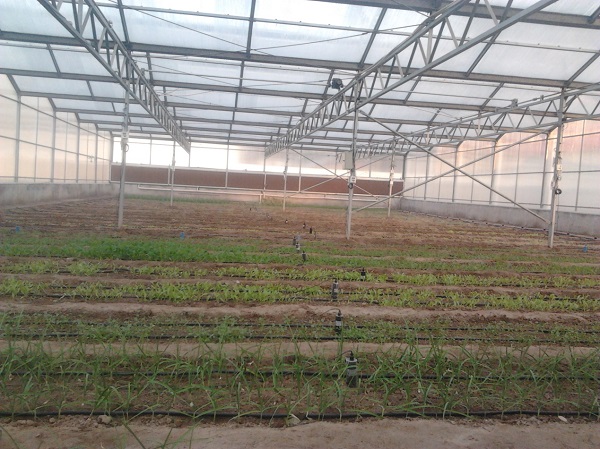 環境數據采集器 環境數據采集器