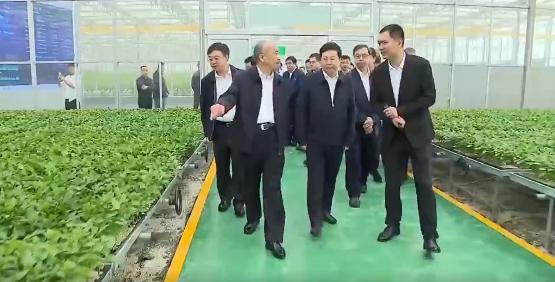 山東省委書記林武蒞臨我司承建的數字農業工程考察 山東省委書記林武蒞臨我司承建的數字農業工程考察