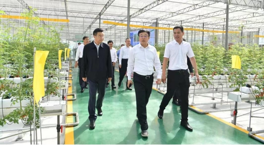 山東省委書記林武蒞臨我司承建的數字農業工程考察 山東省委書記林武蒞臨我司承建的數字農業工程考察