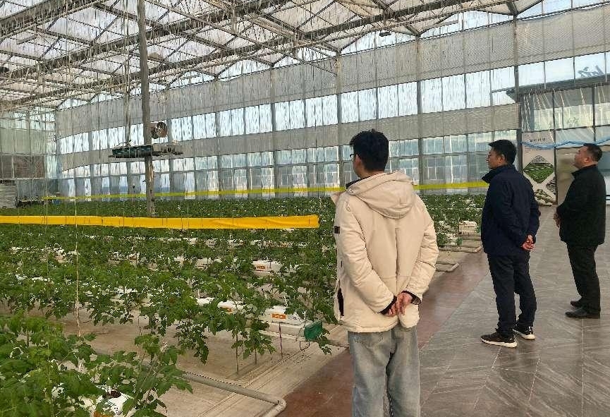 六國化工到訪環球軟件 共探智慧農業新路徑 六國化工到訪環球軟件 共探智慧農業新路徑