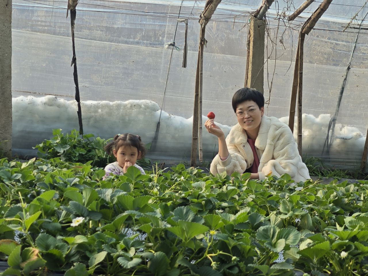 環球軟件以  環球軟件以