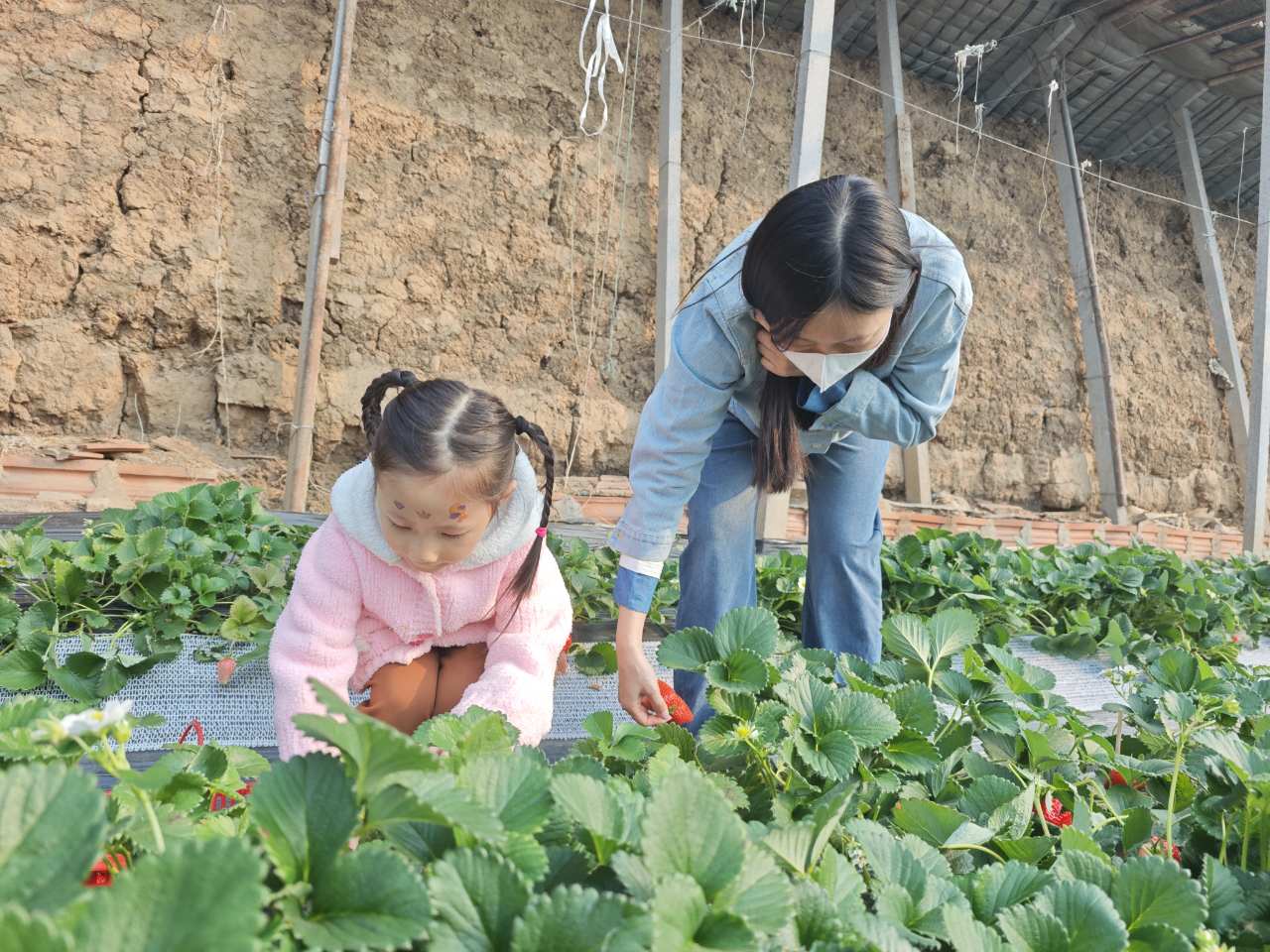 環球軟件以  環球軟件以