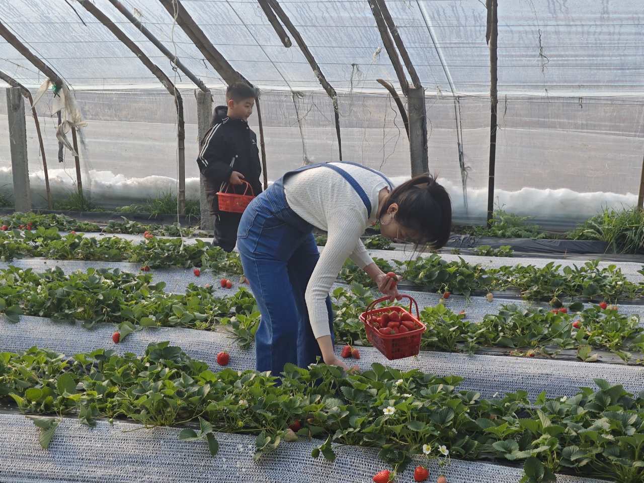 環球軟件以  環球軟件以