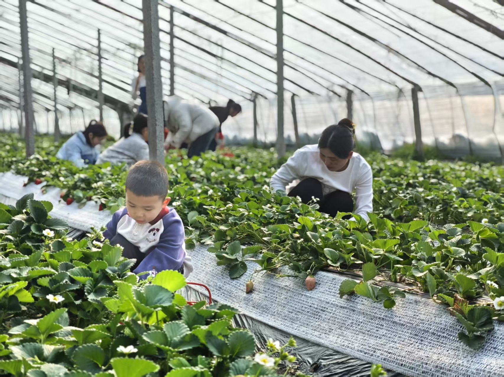 環球軟件以  環球軟件以