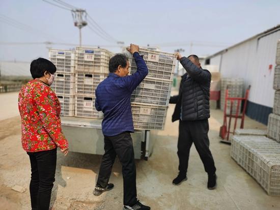 【人民網】【大眾網】【齊魯網】濰坊科技學院校辦企業環球軟件助力蔬菜交易走上“云端”