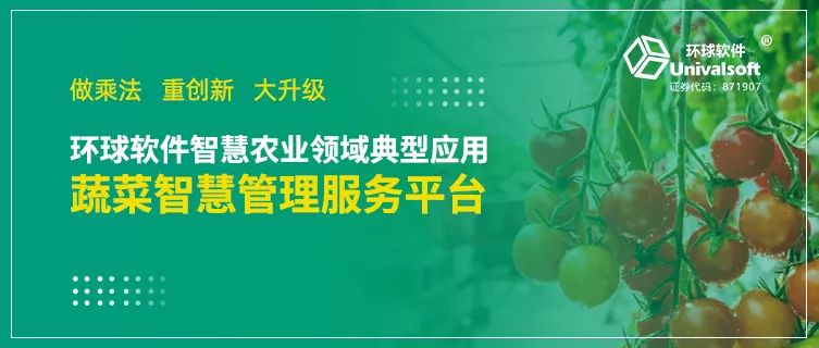 做乘法 重創新 大升級——看環球軟件如何助力蔬菜產業鏈轉型升級
