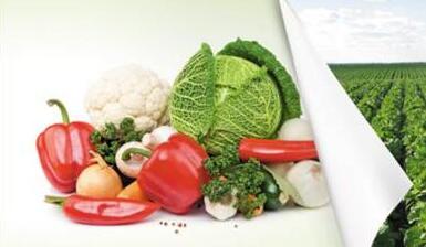 校采通:讓高校餐廳進入互聯網+時代