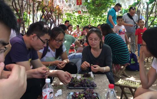 環球軟件“金灘漫步 攜手采珠”活動圓滿成功