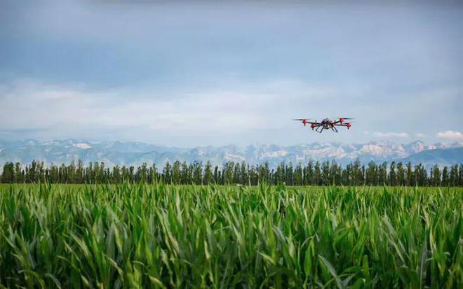 數字農業迎來政策紅利!未來布局如何抓住趨勢與路徑、機會