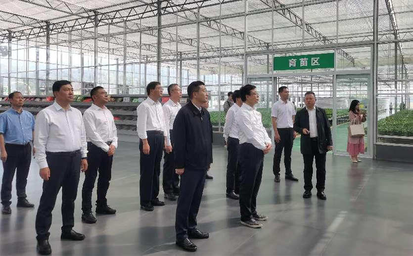 環球軟件以數字賦能 助力打造東西部產業協作“樣板間”