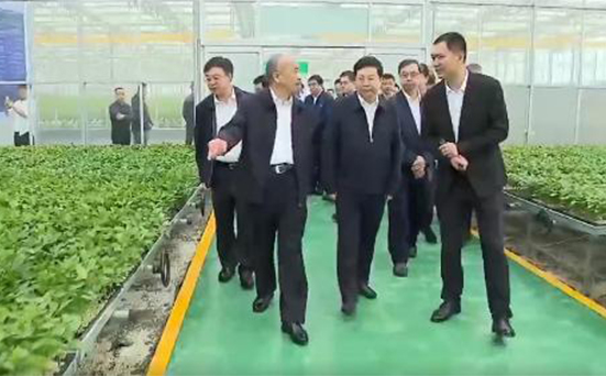山東省委書記林武蒞臨我司承建的數字農業工程考察
