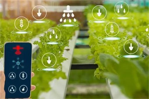 了解一下,未來前景廣闊的數字農業新技術和新應用