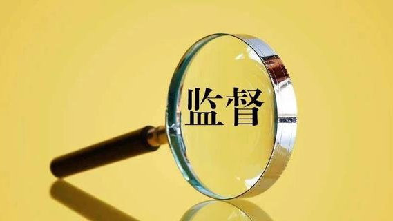 準確把握巡視工作政治方向 精準有效開展政治監督