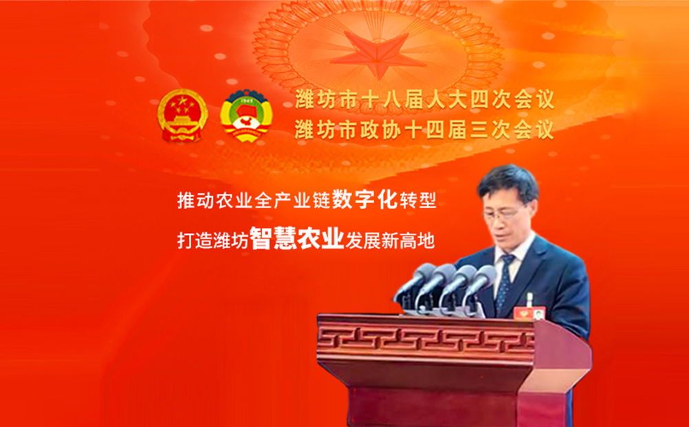 創新實干走在前 建言資政促發展