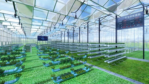 十五部門聯合發文,探索開展智慧農場等數字化場景認證